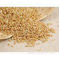 Oat Rice Recipe